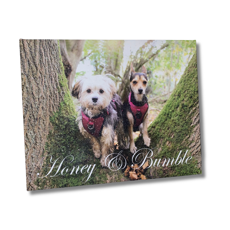 Glitter Pet Portrait Photo Canvas | Crystalise Boutique