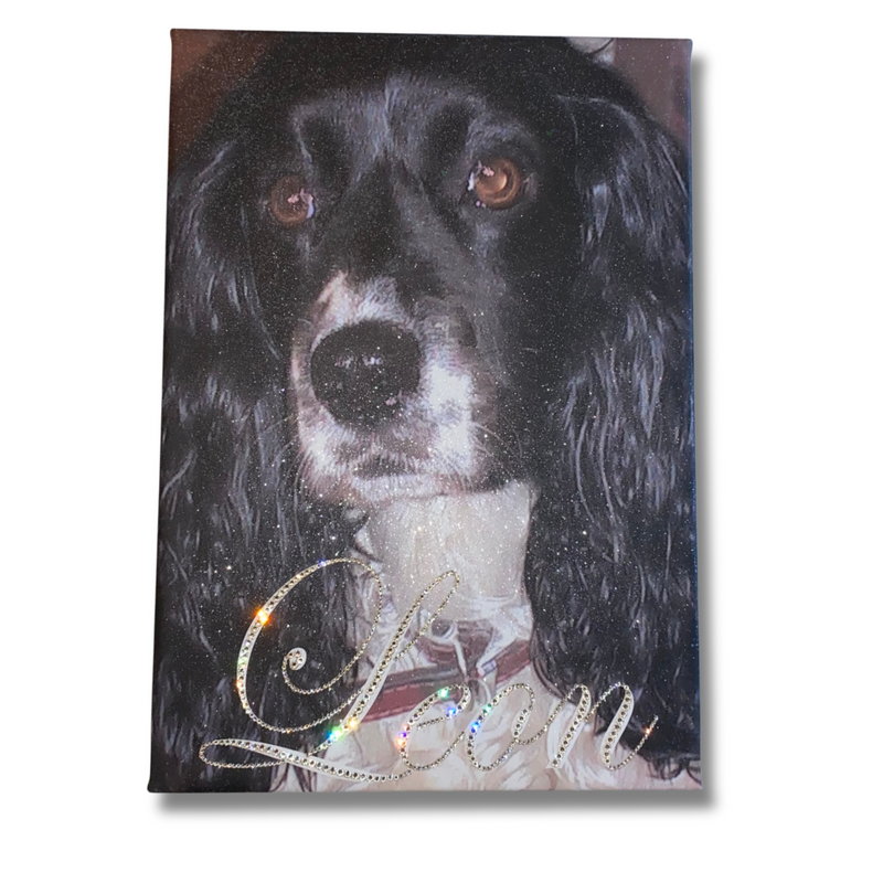 Glitter Pet Portrait Photo Canvas | Crystalise Boutique