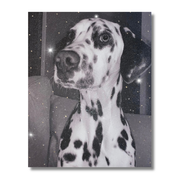 Glitter Pet Portrait Photo Canvas | Crystalise Boutique
