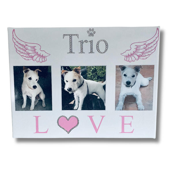Glitter Personalised Photo Pets Canvas
